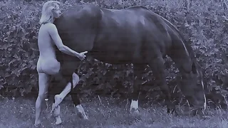 141 horse porn videos